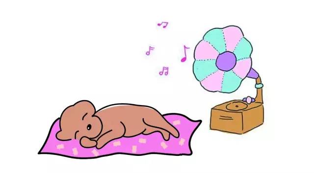 狗狗艾米搞破坏,狗狗为什么在家里搞破坏