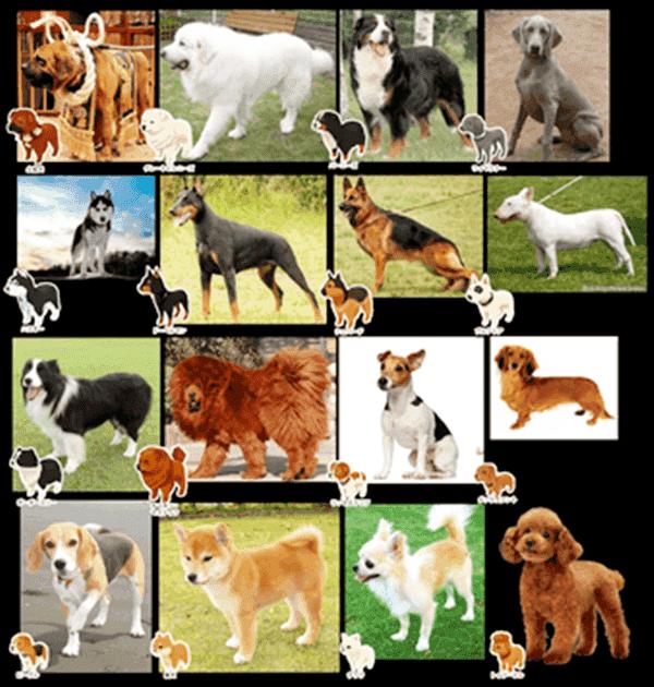 最好玩的口袋妖怪游戏推荐,小时候玩口袋妖怪的游戏机