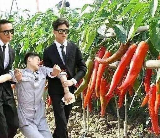 林更新和陈伟霆,林更新王嘉尔李易峰