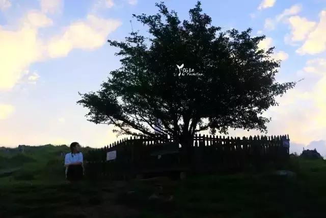 当百里荒遇上山楂树，预“谋”最纯爱的告白