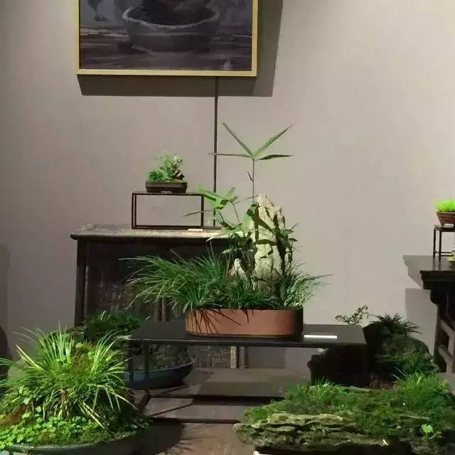 他身为美发师，却潜心钻研一株小草，短短2年竟成业界达人！