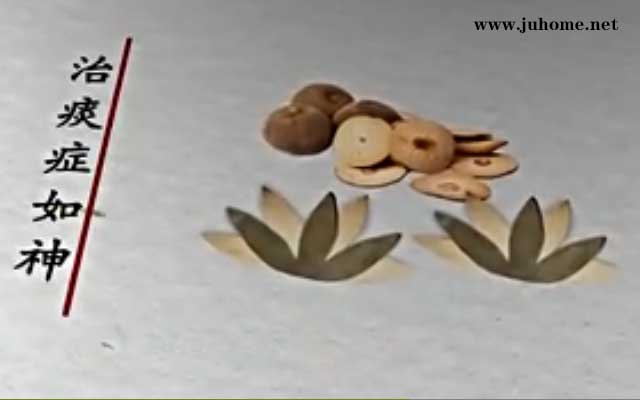 慢性咽炎患者都开始用化橘红调理了?