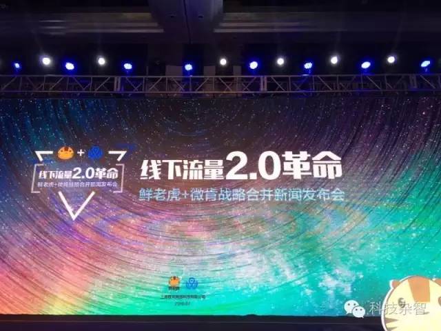 鲜老虎新媒体运营,鲜老虎