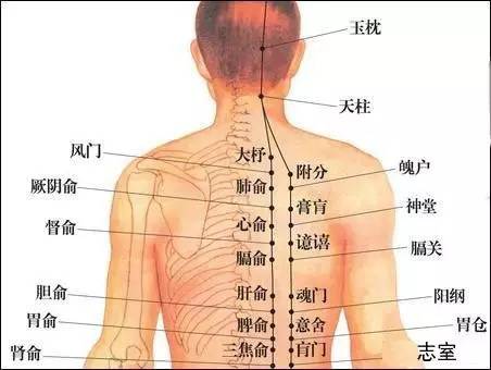 睡不够怎么调理身体,睡不够觉头脑昏沉沉的怎么办