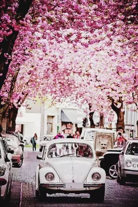 用什么方法分手,用什么办法分手不伤人