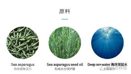 爱茉莉柚子面膜,爱茉莉蜜语面膜