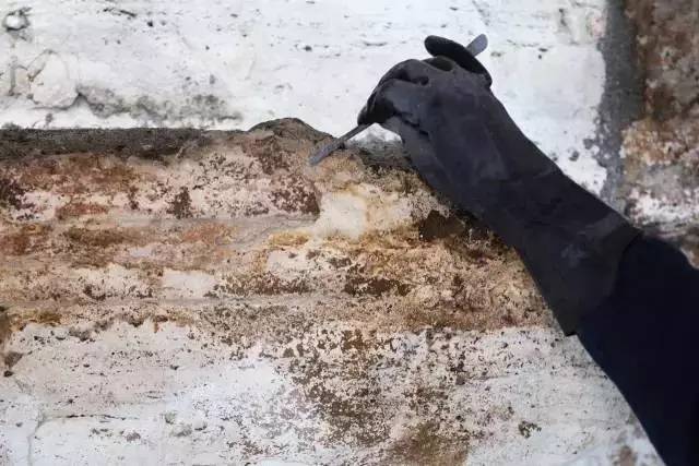 这些大牌告诉你:真正的意大利制造不光有钱任性,而且有情有义!