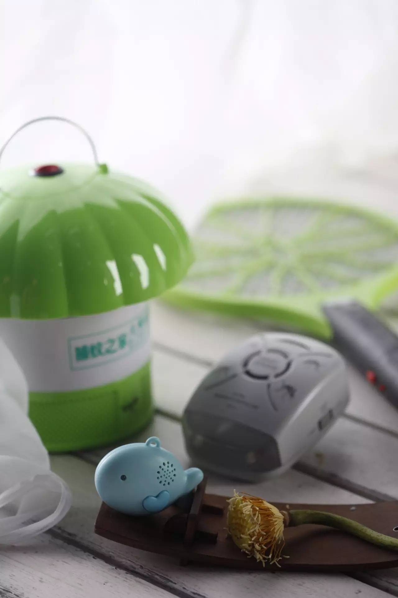 有什么可以制成驱蚊膏,关于蚊子的秘方