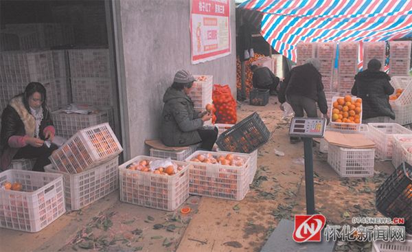 怀化茶产业发展的问题,怀化发展劣势条件