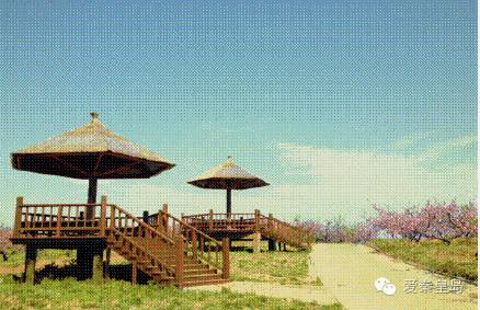 别找我,我去村里耍了!秦皇岛农家乐大盘点~