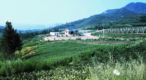 别找我,我去村里耍了!秦皇岛农家乐大盘点~