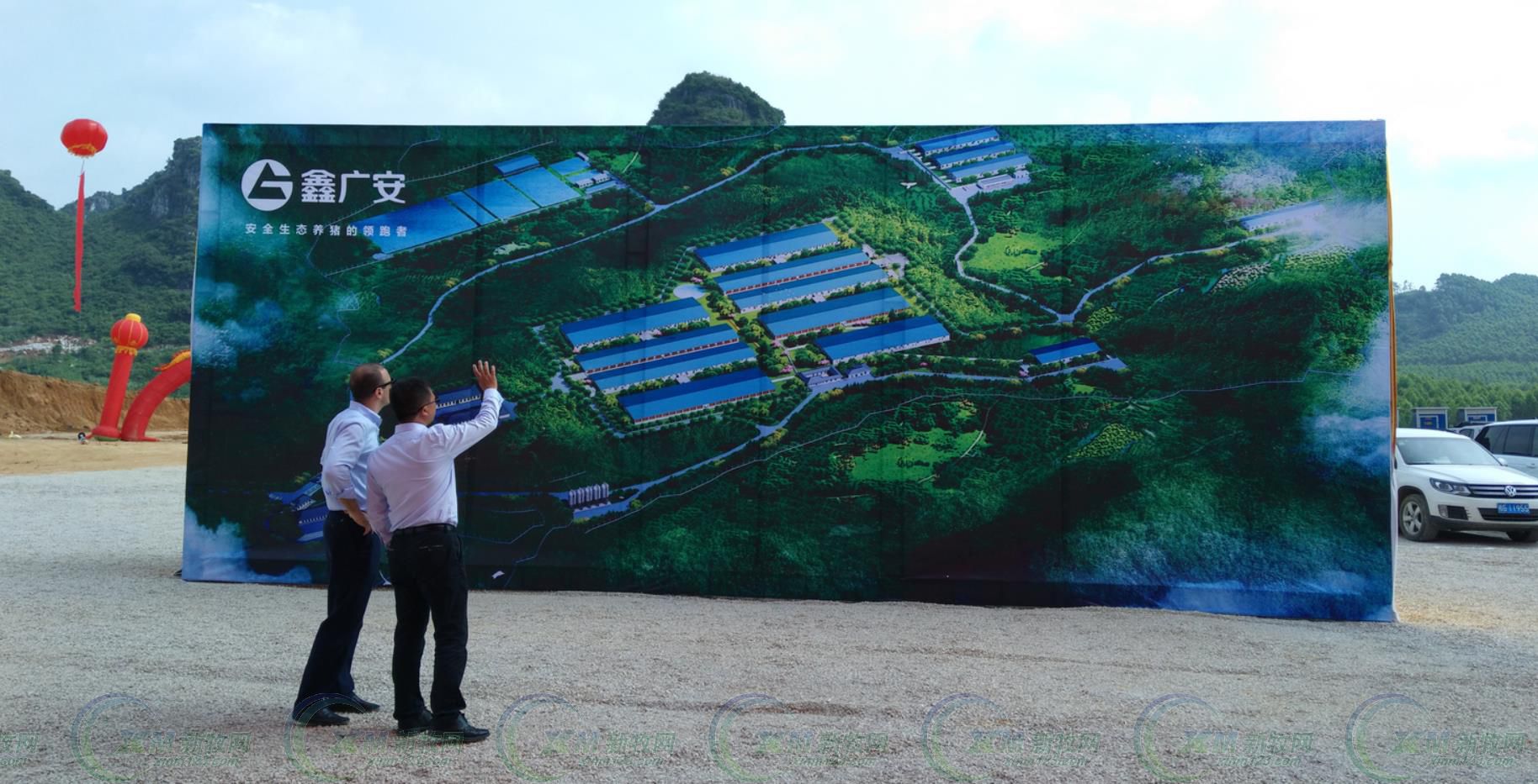 鑫广安农牧广西分公司,鑫广安母猪怎么样