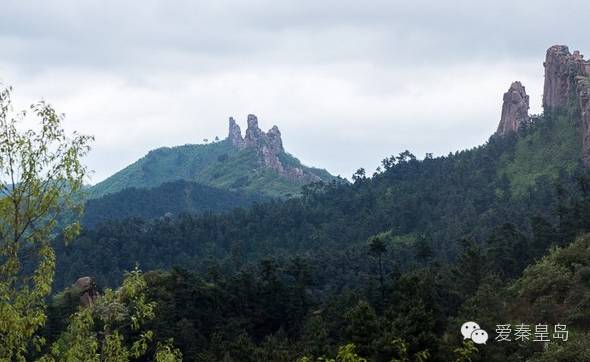别找我,我去村里耍了!秦皇岛农家乐大盘点~