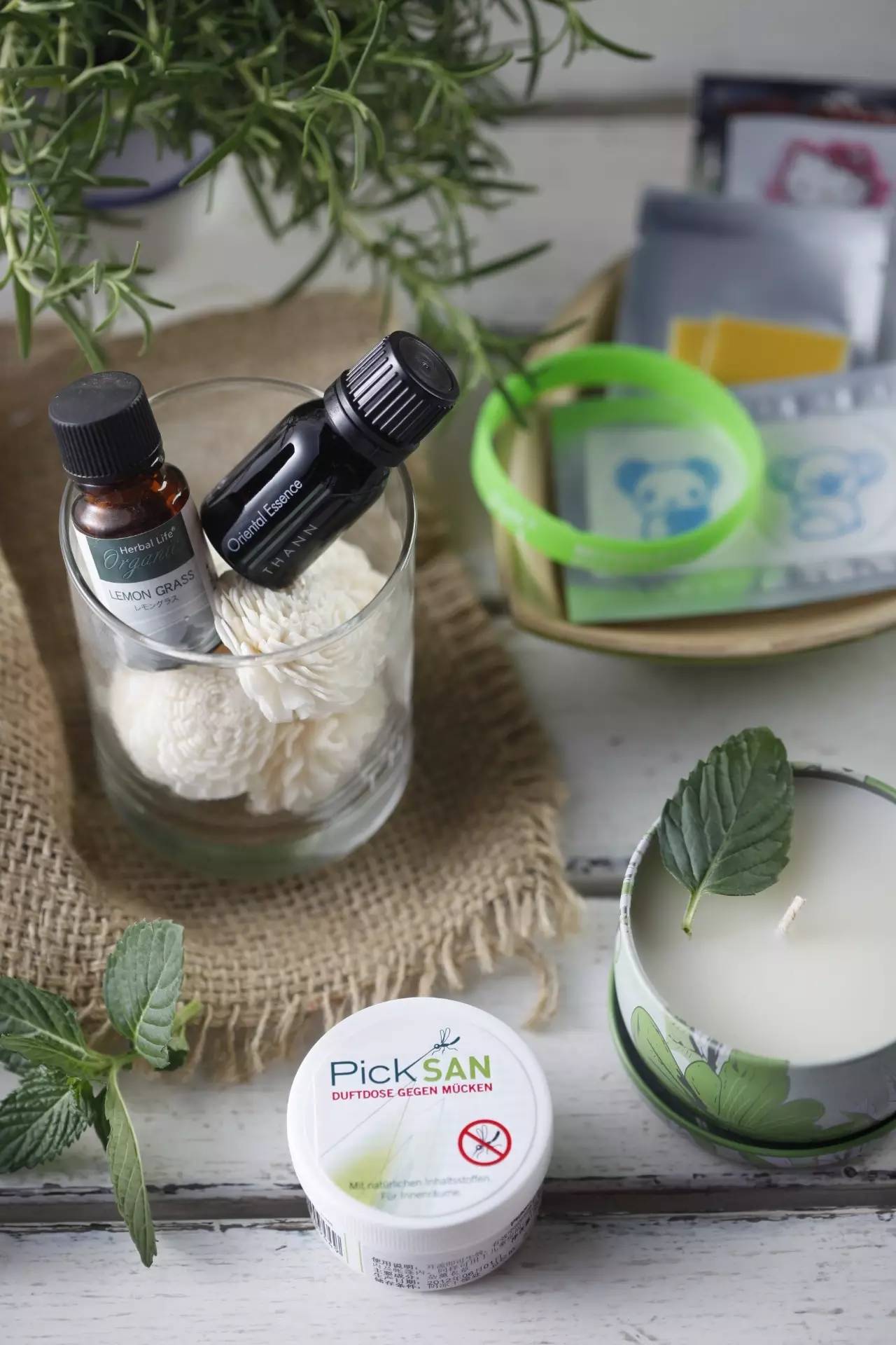 有什么可以制成驱蚊膏,关于蚊子的秘方