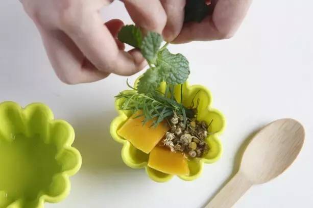 有什么可以制成驱蚊膏,关于蚊子的秘方