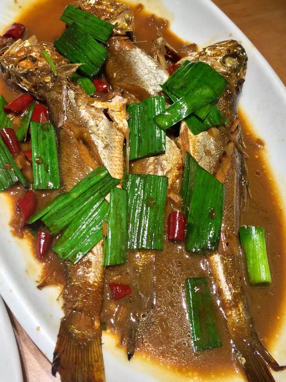 舟山自驾之旅完美收官,自驾游舟山哪个岛最值得去