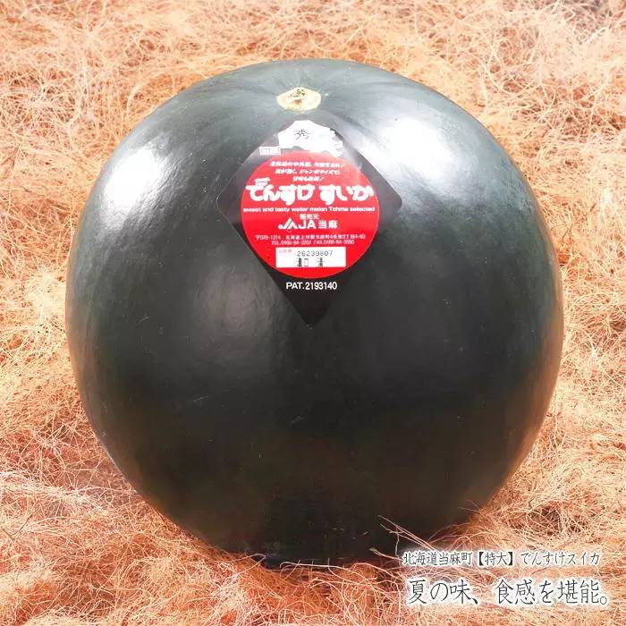 在日本天天吃巴豆,在日本吃西瓜是很奢侈的事吗