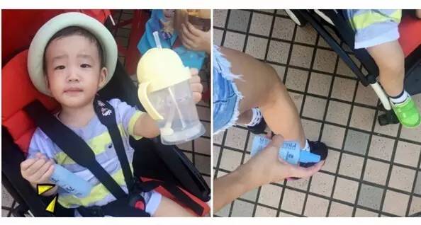 日本最好用的防螨用品,日本十大驱蚊器