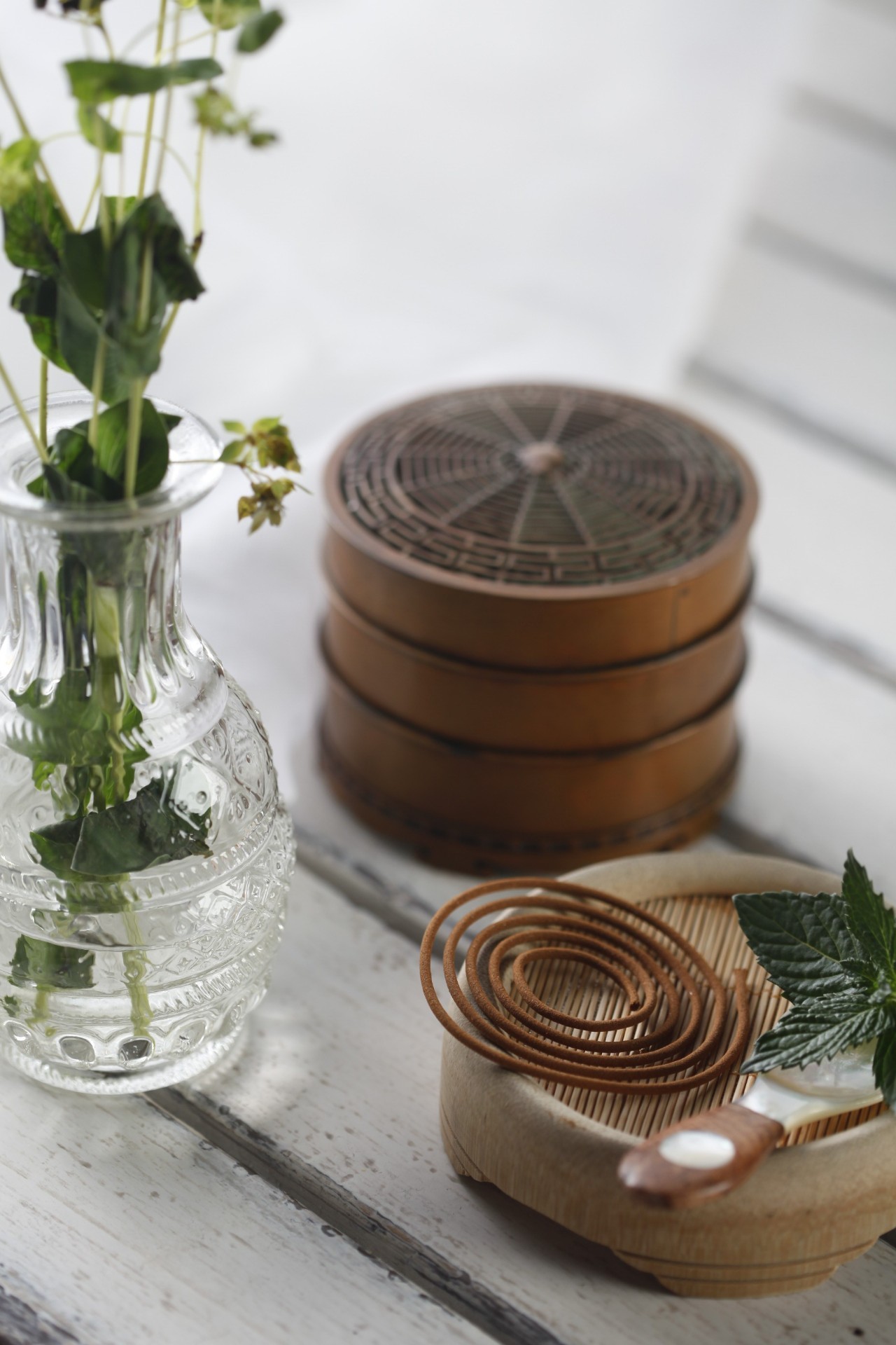 有什么可以制成驱蚊膏,关于蚊子的秘方