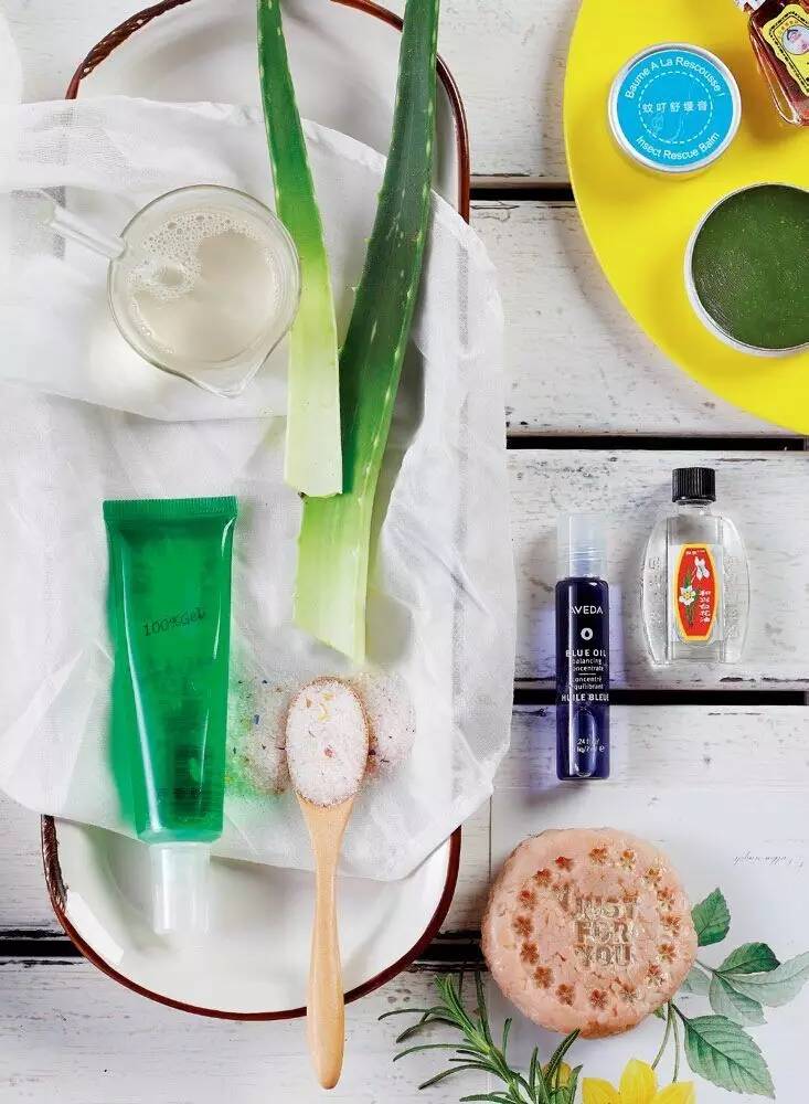 有什么可以制成驱蚊膏,关于蚊子的秘方