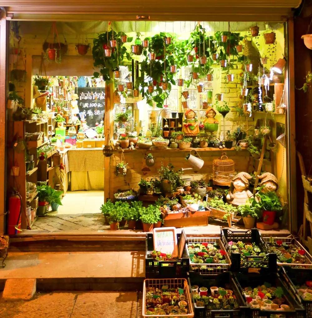 舟山自驾之旅完美收官,自驾游舟山哪个岛最值得去