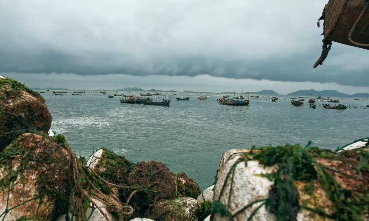 舟山自驾之旅完美收官,自驾游舟山哪个岛最值得去