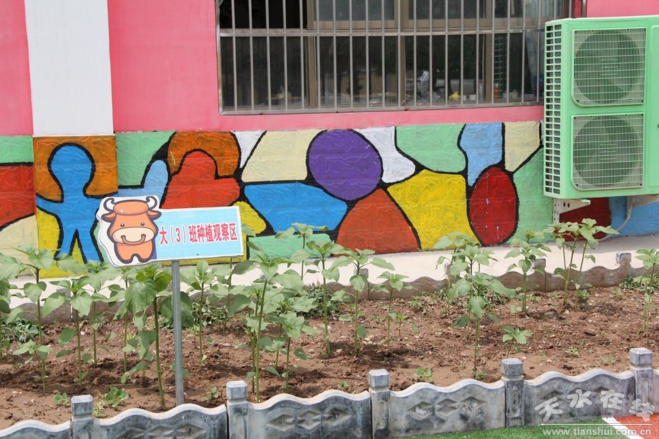 天水市十大“最美乡村幼儿园”候选:滩歌镇中心幼儿园,图