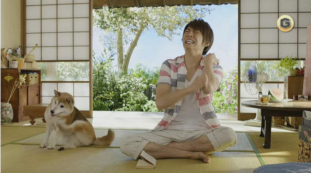 o型血的人被蚊子咬后痒怎么办,a型血和o型血哪个更招蚊子