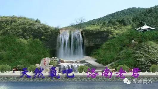 商洛碎事商洛男子卖加盐|商洛一老汉因土地纠纷将除草剂喷他人菜地