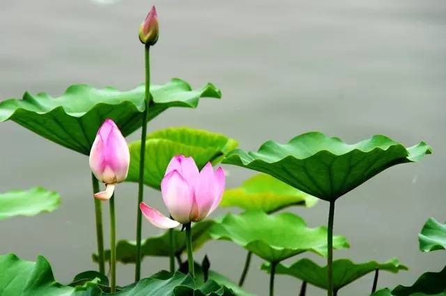 银川真的适合带孩子去吗,银川免费好玩的地方推荐