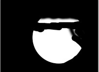 PS教程:灯泡中的金鱼