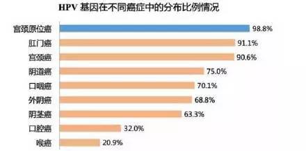 梅艳芳从感染到去世几年,梅艳芳是被谁传染的宫颈癌