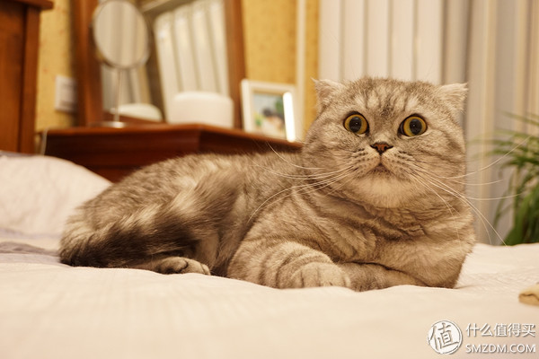 我的房子80平怎么装成200平,88平米厨房装修改造翻新视频