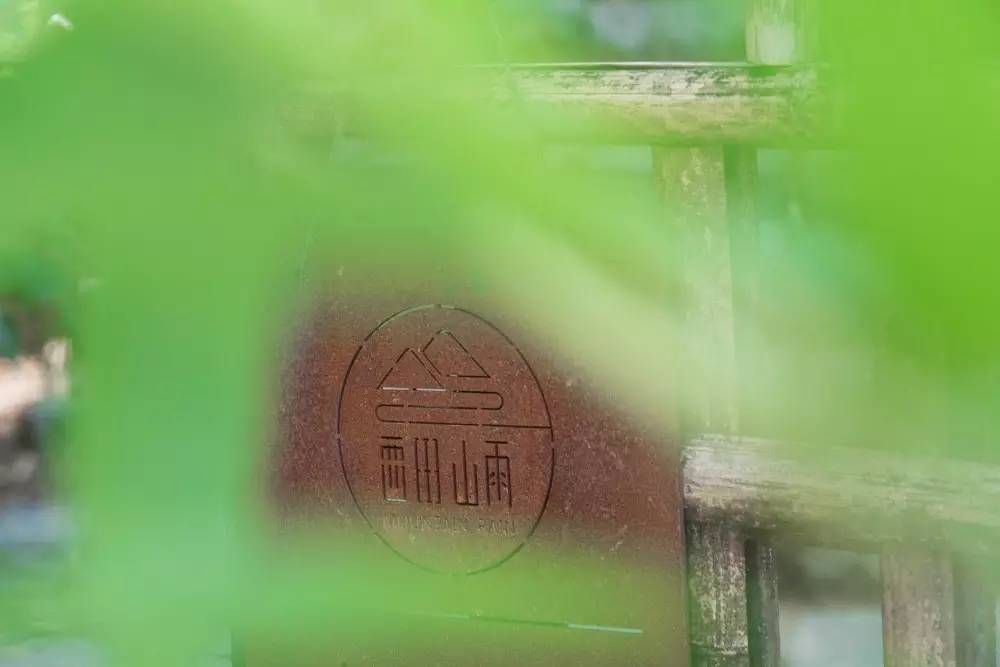 夏天去山上避暑好不好,莫干山下雨天旅游攻略详细