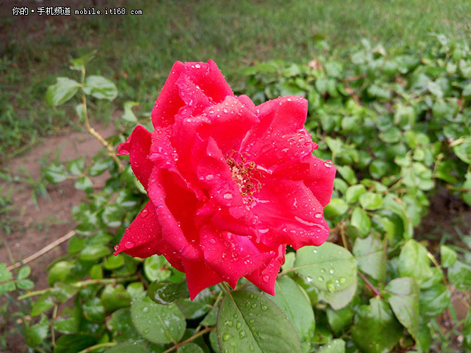 魅族mx6深度评测,魅族mx6曝光图