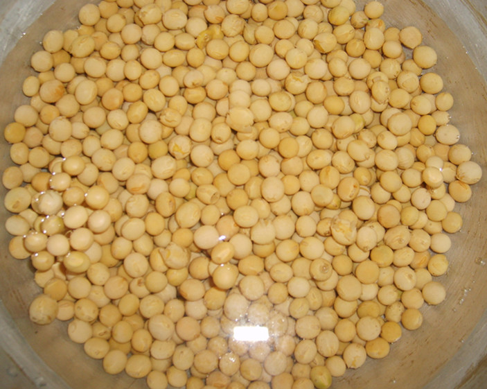 为什么要在三伏天晒酱,伏天的酱豆咋做