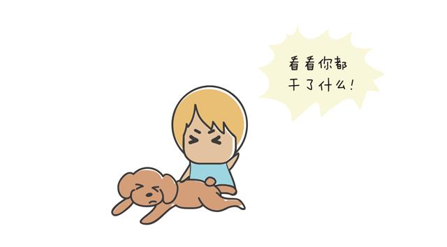 狗狗艾米搞破坏,狗狗为什么在家里搞破坏