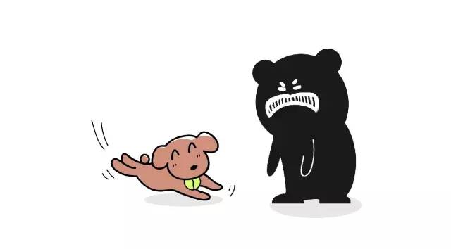 狗狗艾米搞破坏,狗狗为什么在家里搞破坏