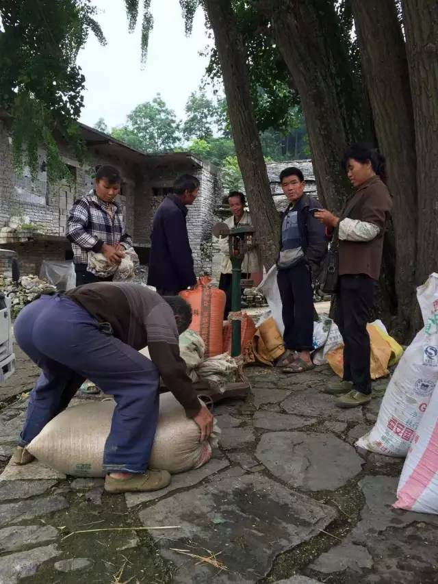 世界上最大的黄果树瀑布在哪里 (黄果树瀑布是不是亚洲第一大瀑布)