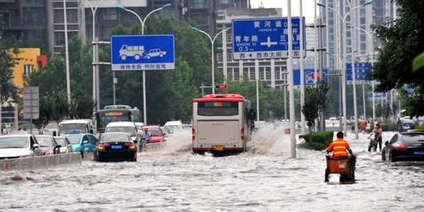找中草药凉茶,找药材最好的方法