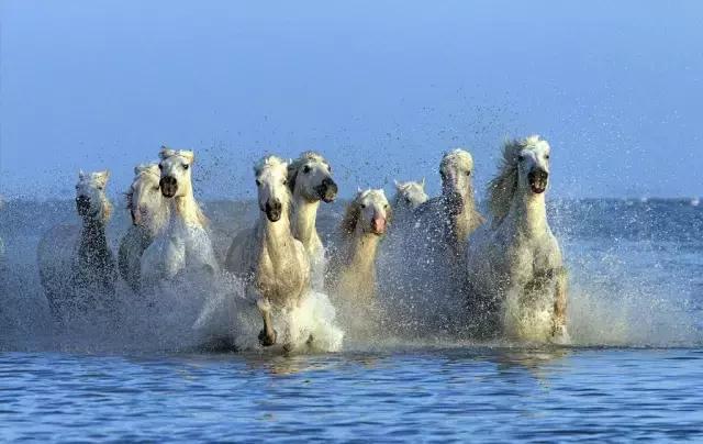 中国历史上的铁木真 (铁木真历史记)