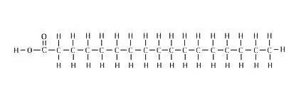 真相馆关于蛋糕油的一切真的和你想的一样吗?