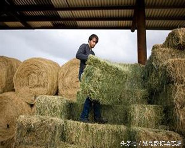 深泉学院，世界上最神秘大学，每年只招13人，但不是你想的那样