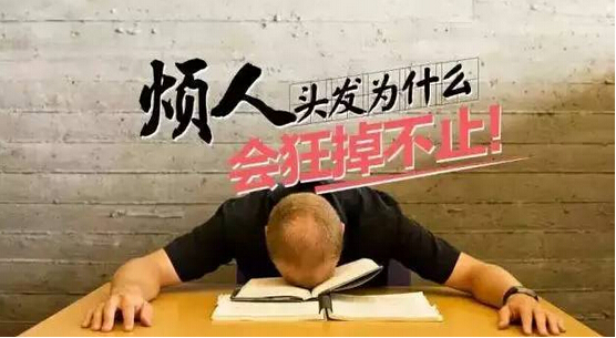 脱发原因新发现,男人女人脱发区别