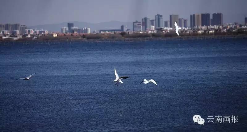 云南昆明的滇池值得一去的美景,来看看昆明的滇池