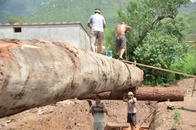 2016年最新株洲15大怪，每一句都扎心啊！