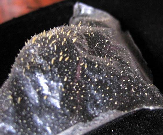 牙膏真的可以去黄吗,牙膏真的可以去烟垢吗