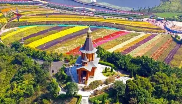 深圳东部华侨城60岁免费的景区,深圳东部华侨城两天一夜攻略