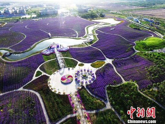 金昌镍都书记,甘肃省金昌市蝶变