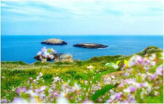 福鼎嵛山岛游玩朋友圈,渔山列岛打卡